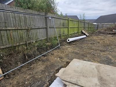 Picture 19